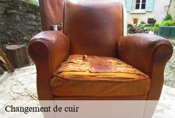 Changement de cuir  les-abrets-38490 L' Atelier D'autre fois