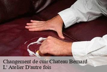 Changement de cuir  chateau-bernard-38650 L' Atelier D'autre fois