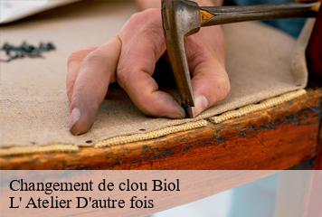 Changement de clou  biol-38690 L' Atelier D'autre fois