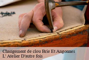 Changement de clou  brie-et-angonnes-38320 L' Atelier D'autre fois