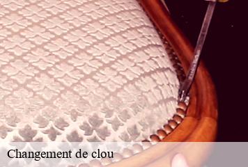 Changement de clou  chatte-38160 L' Atelier D'autre fois