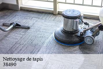 Nettoyage de tapis  les-abrets-38490 L' Atelier D'autre fois