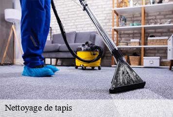 Nettoyage de tapis  les-abrets-38490 L' Atelier D'autre fois