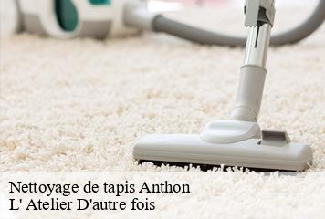 Nettoyage de tapis  anthon-38280 L' Atelier D'autre fois