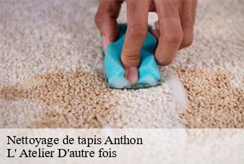 Nettoyage de tapis  anthon-38280 L' Atelier D'autre fois