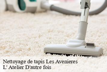 Nettoyage de tapis  les-avenieres-38630 L' Atelier D'autre fois