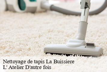 Nettoyage de tapis  la-buissiere-38530 L' Atelier D'autre fois