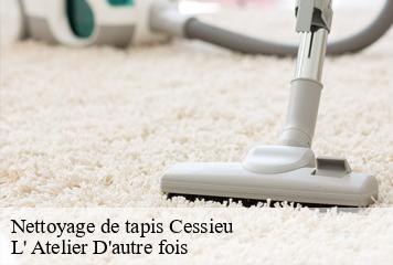 Nettoyage de tapis  cessieu-38110 L' Atelier D'autre fois