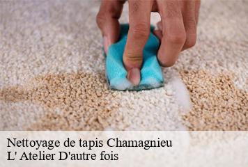 Nettoyage de tapis  chamagnieu-38460 L' Atelier D'autre fois