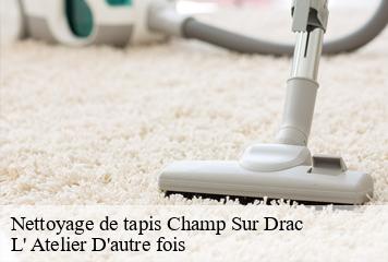 Nettoyage de tapis  champ-sur-drac-38560 L' Atelier D'autre fois