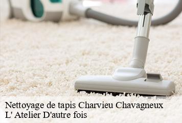 Nettoyage de tapis  charvieu-chavagneux-38230 L' Atelier D'autre fois