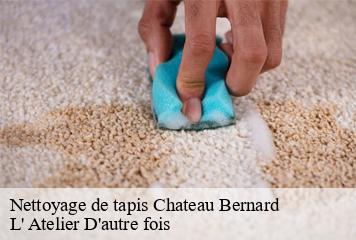 Nettoyage de tapis  chateau-bernard-38650 L' Atelier D'autre fois