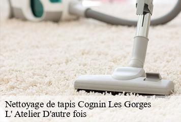 Nettoyage de tapis  cognin-les-gorges-38470 L' Atelier D'autre fois