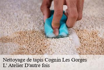 Nettoyage de tapis  cognin-les-gorges-38470 L' Atelier D'autre fois