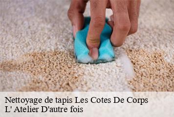 Nettoyage de tapis  les-cotes-de-corps-38970 L' Atelier D'autre fois