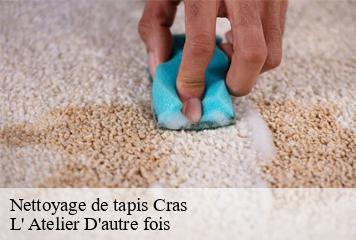 Nettoyage de tapis  cras-38210 L' Atelier D'autre fois