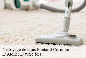 Nettoyage de tapis  fontanil-cornillon-38120 L' Atelier D'autre fois