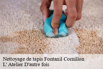 Nettoyage de tapis  fontanil-cornillon-38120 L' Atelier D'autre fois