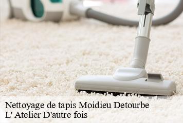 Nettoyage de tapis  moidieu-detourbe-38440 L' Atelier D'autre fois