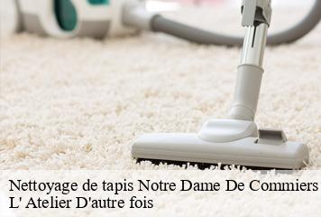 Nettoyage de tapis  notre-dame-de-commiers-38450 L' Atelier D'autre fois