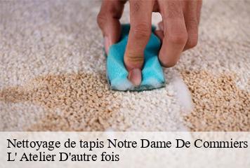 Nettoyage de tapis  notre-dame-de-commiers-38450 L' Atelier D'autre fois