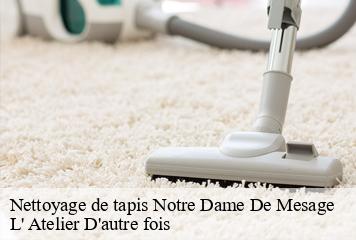 Nettoyage de tapis  notre-dame-de-mesage-38220 L' Atelier D'autre fois