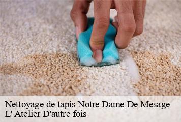 Nettoyage de tapis  notre-dame-de-mesage-38220 L' Atelier D'autre fois