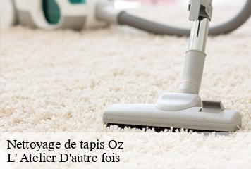 Nettoyage de tapis  oz-38114 L' Atelier D'autre fois