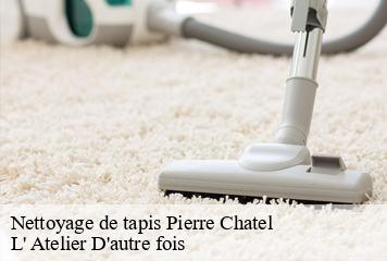 Nettoyage de tapis  pierre-chatel-38119 L' Atelier D'autre fois