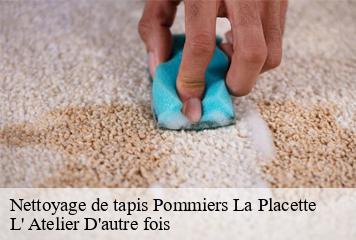 Nettoyage de tapis  pommiers-la-placette-38340 L' Atelier D'autre fois