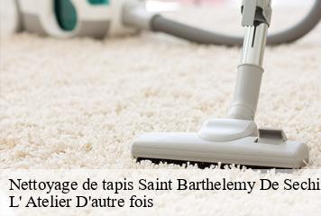 Nettoyage de tapis  saint-barthelemy-de-sechilie-38220 L' Atelier D'autre fois