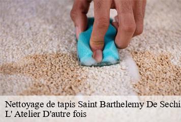 Nettoyage de tapis  saint-barthelemy-de-sechilie-38220 L' Atelier D'autre fois