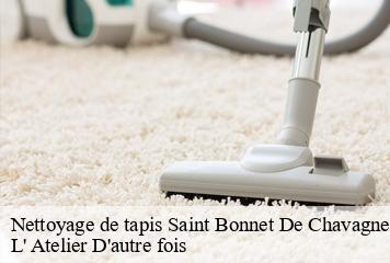 Nettoyage de tapis  saint-bonnet-de-chavagne-38840 L' Atelier D'autre fois