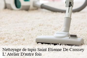 Nettoyage de tapis  saint-etienne-de-crossey-38960 L' Atelier D'autre fois