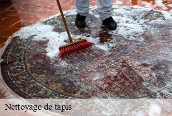 Nettoyage de tapis  mons-38280 L' Atelier D'autre fois